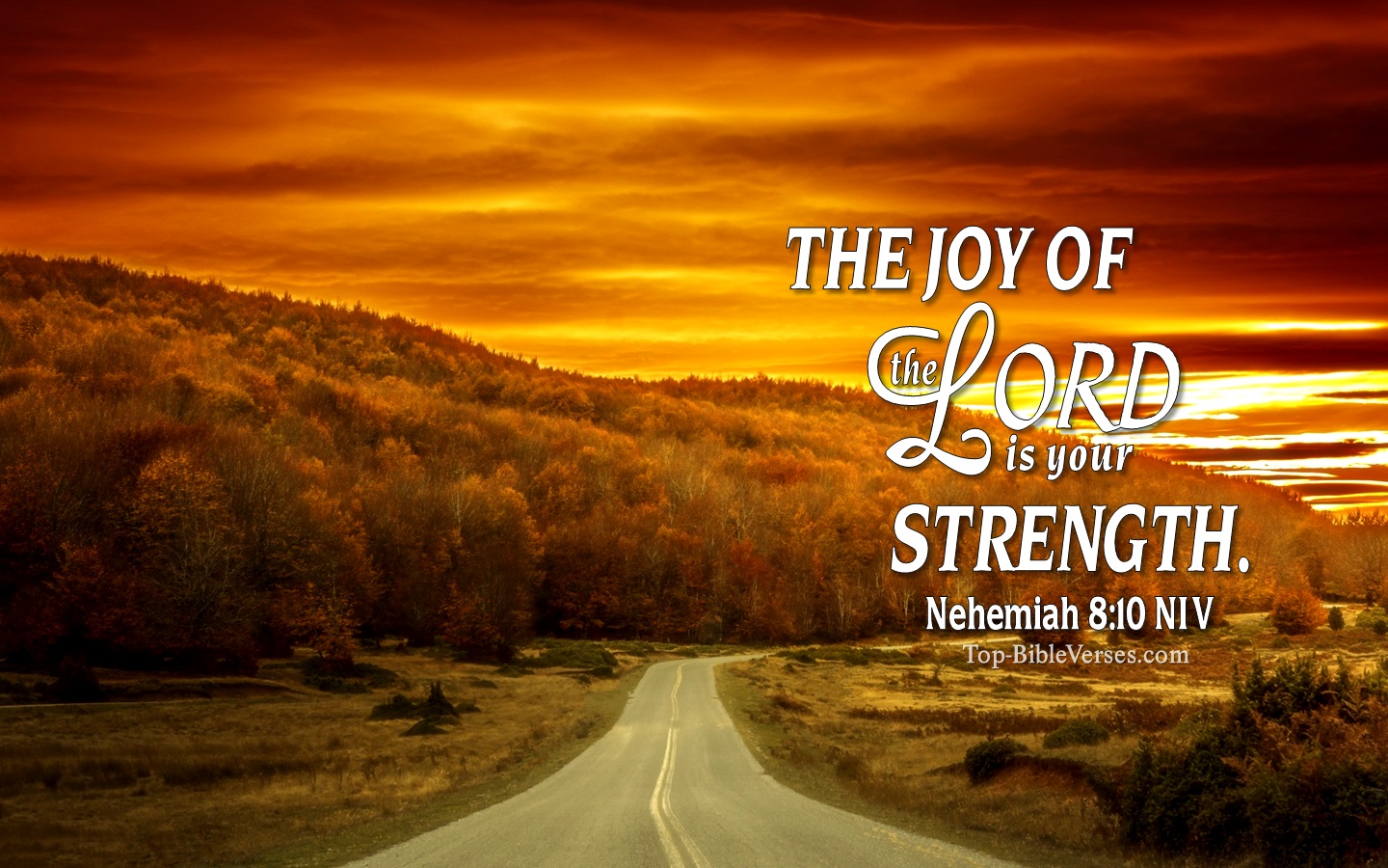 Nehemiah 8:10 NIV Christian Bible Verse Desktop Wallpaper. Top-BibleVerses.com