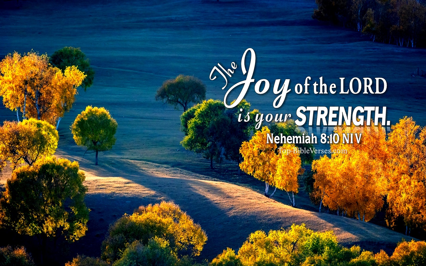 Nehemiah 8:10 NIV Christian Bible Verse Desktop Wallpaper. Top-BibleVerses.com