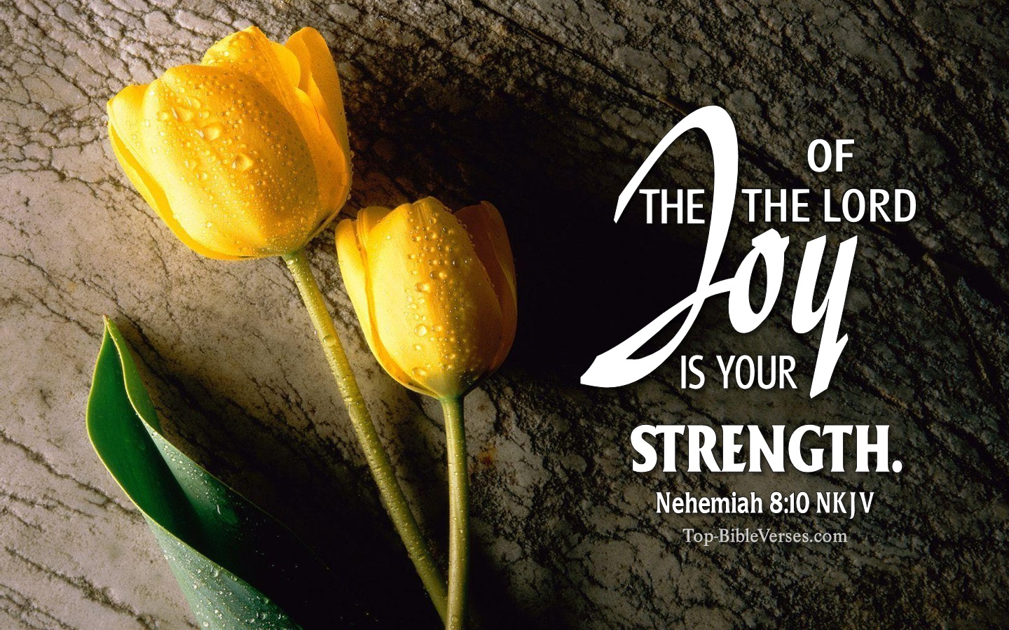 Nehemiah 8:10 NKJV Christian Bible Verse Desktop Wallpaper. Top-BibleVerses.com
