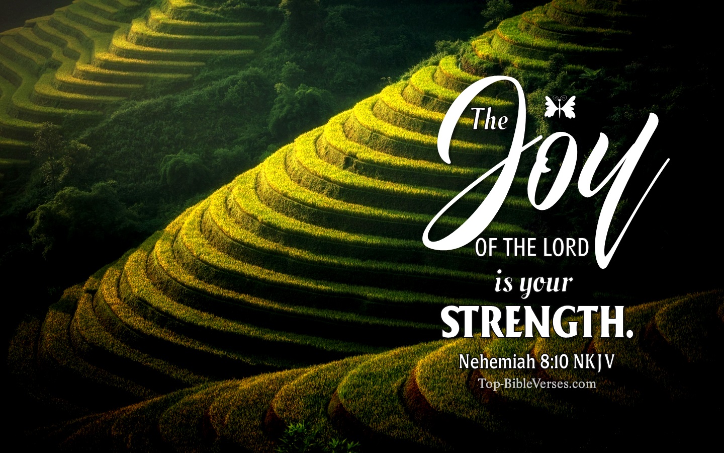 Nehemiah 8:10 NKJV Christian Bible Verse Desktop Wallpaper. Top-BibleVerses.com