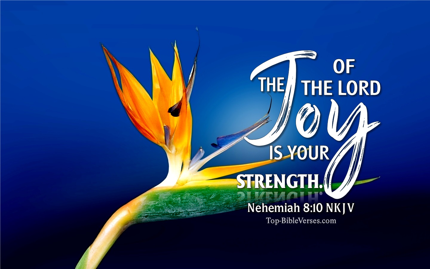 Nehemiah 8:10 NKJV Christian Bible Verse Desktop Wallpaper. Top-BibleVerses.com