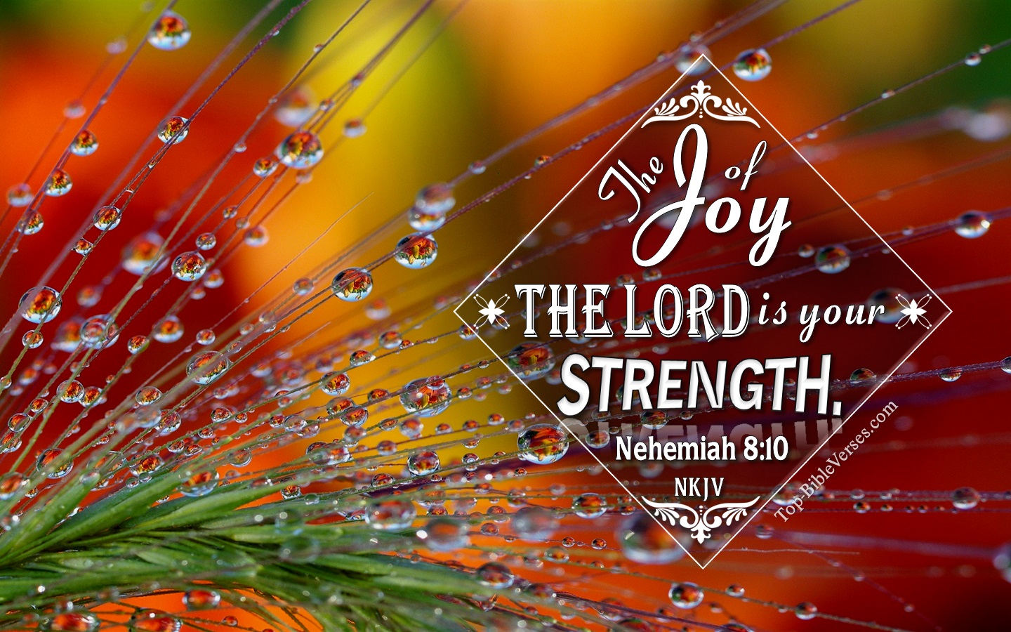 Nehemiah 8:10 NKJV Christian Bible Verse Desktop Wallpaper. Top-BibleVerses.com