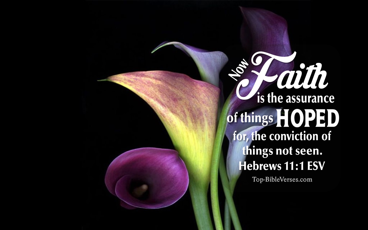 Hebrews 11:1 ESV Christian Bible Verse Desktop Wallpaper. Top-BibleVerses.com