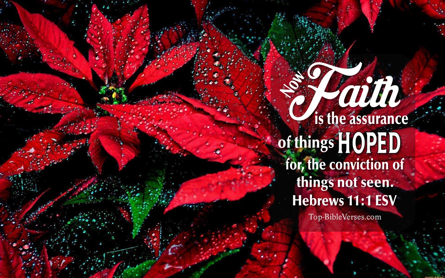 Hebrews 11:1 ESV Christian Bible Verse Desktop Wallpaper. Top-BibleVerses.com