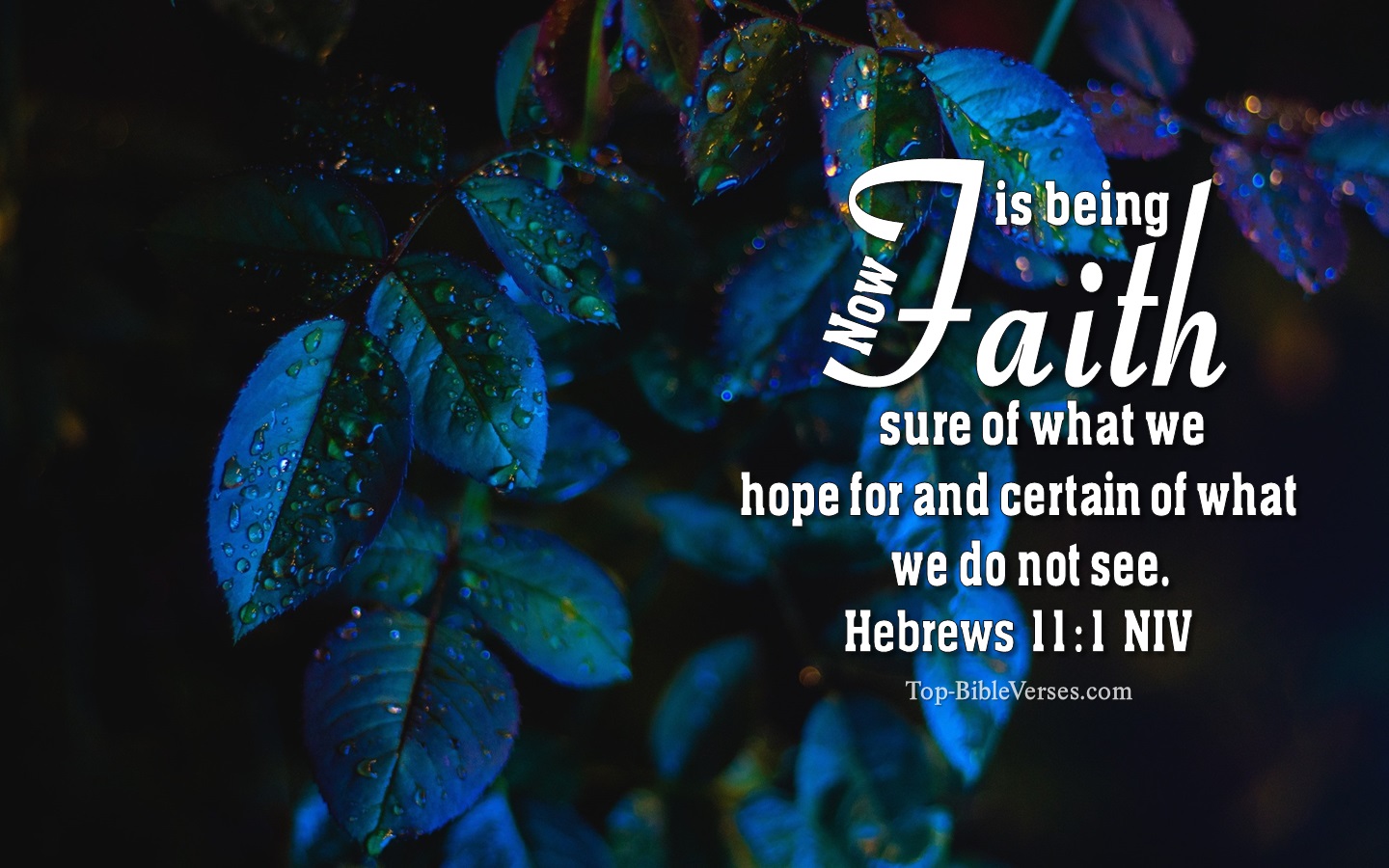 Hebrews 11:1 NIV Christian Bible Verse Desktop Wallpaper. Top-BibleVerses.com