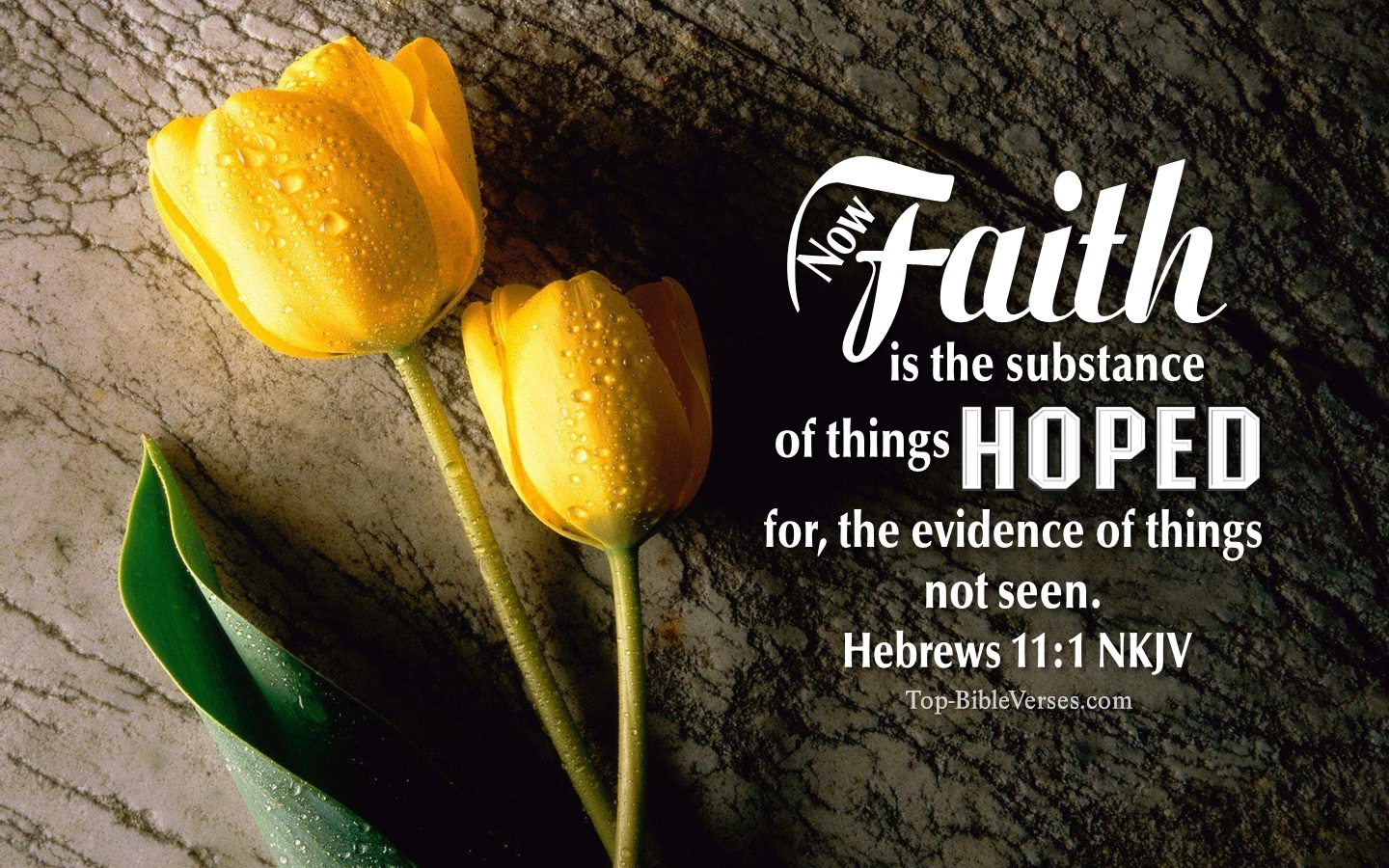 Hebrews 11:1 NKJV Bible Verse Desktop HD-Wallpaper | Backgrounds