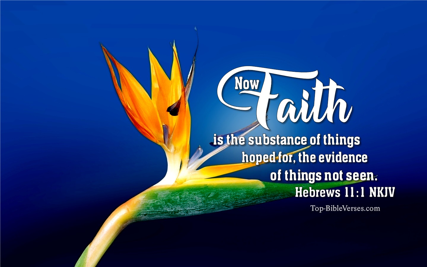 Hebrews 11:1 NKJV Christian Bible Verse Desktop Wallpaper. Top-BibleVerses.com