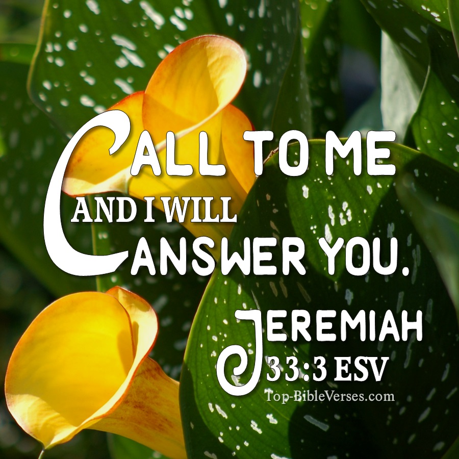 Jeremiah Verses