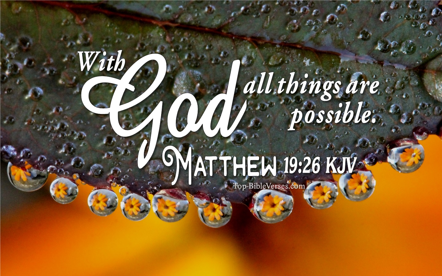 Matthew 19:26 KJV Inspirational Bible Verse Images. Top-BibleVerses.com