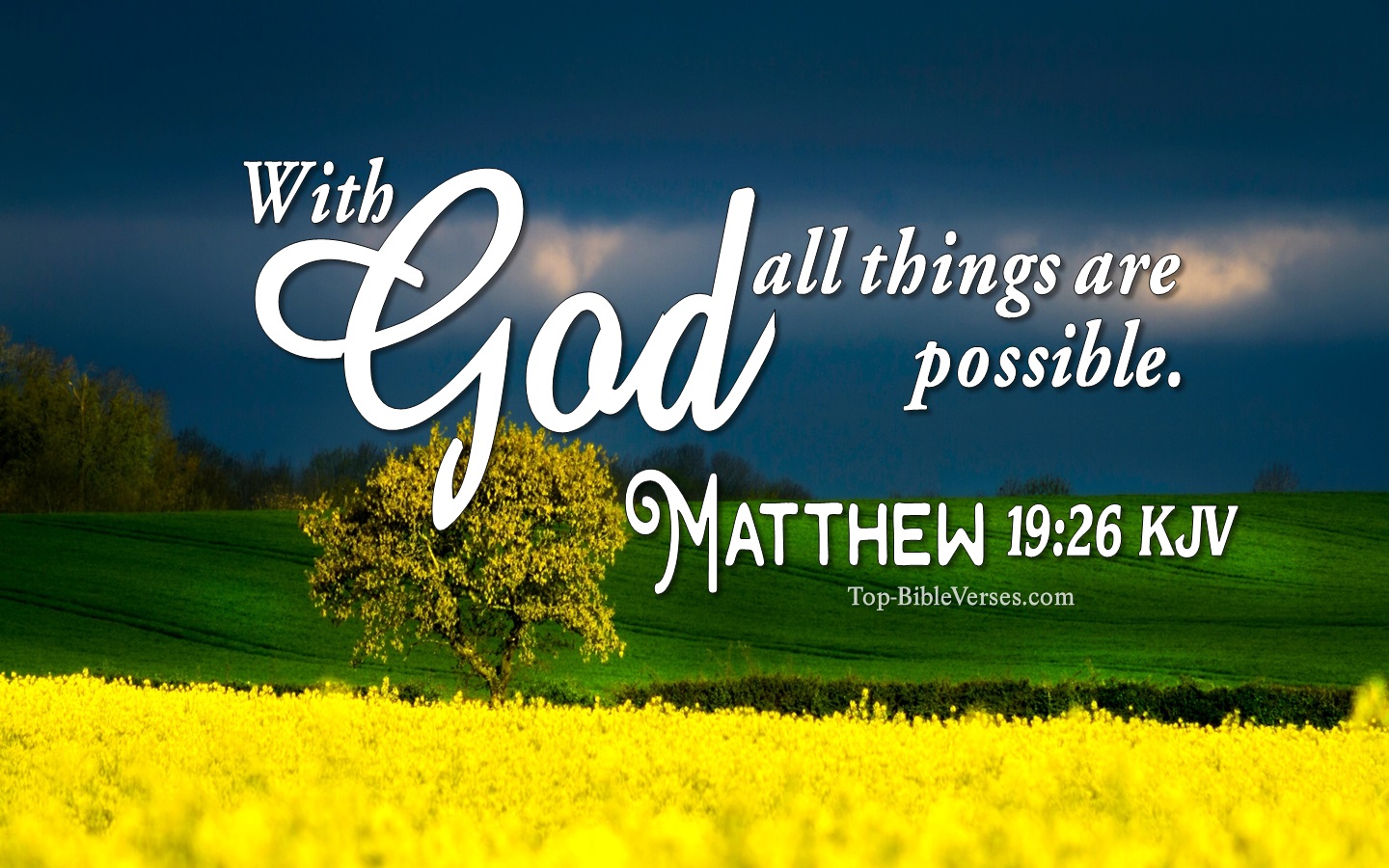 Matthew 19:26 KJV Inspirational Bible Verse Images. Top-BibleVerses.com