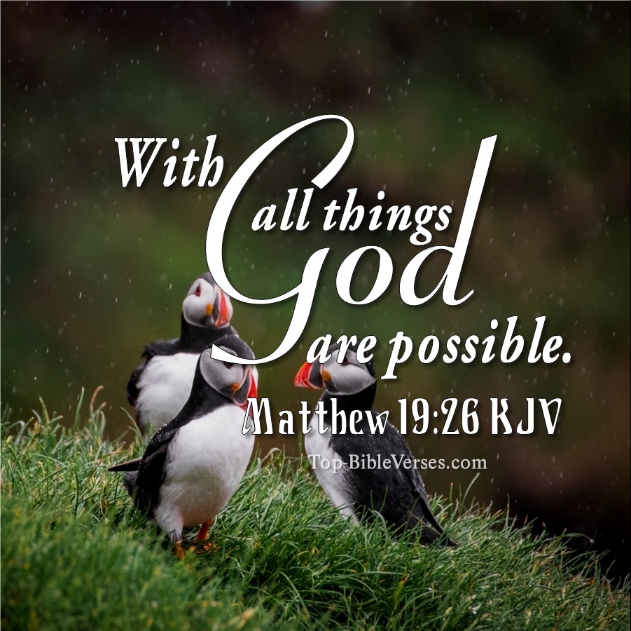 Matthew 19:26 KJV WhatsApp DP Inspirational Bible Verse Images.