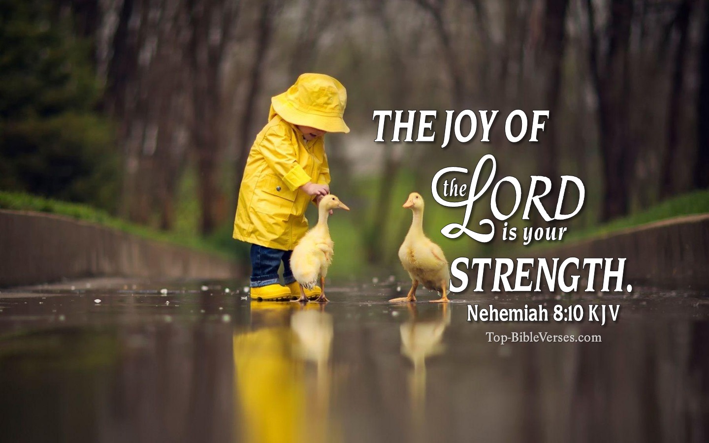 Nehemiah 8:10 KJV Christian Bible Verse Desktop Wallpaper. Top-BibleVerses.com