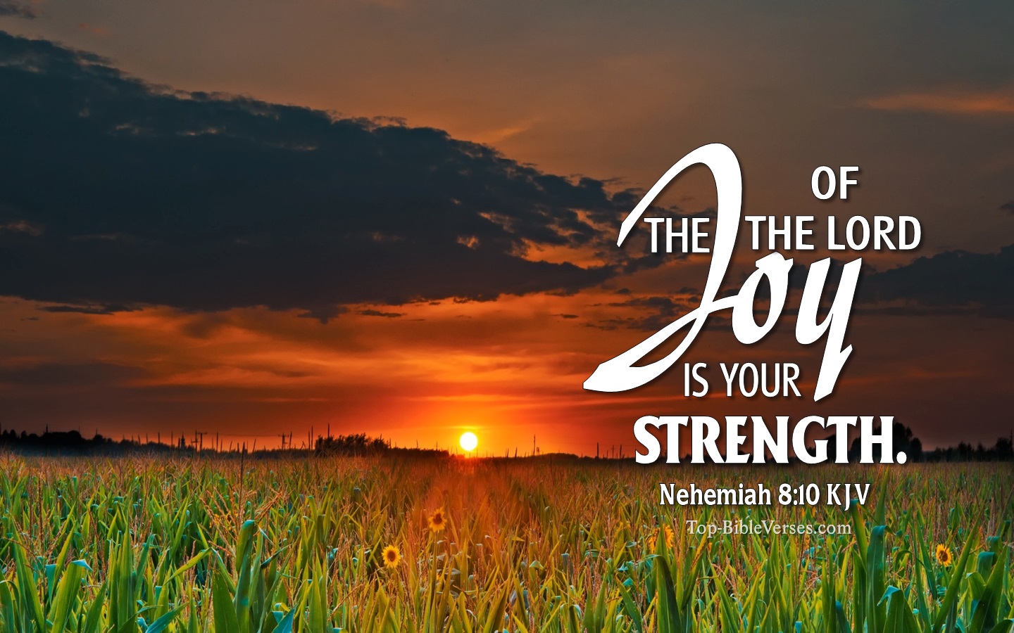 Nehemiah 8:10 KJV Christian Bible Verse Desktop Wallpaper. Top-BibleVerses.com