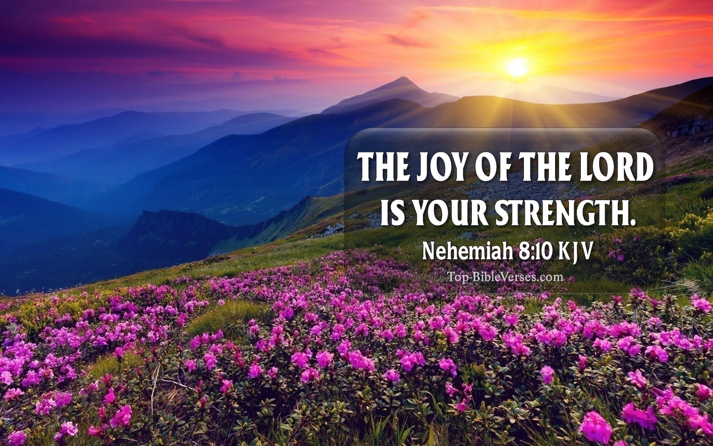 Nehemiah 8:10 KJV Christian Bible Verse Desktop Wallpaper. Top-BibleVerses.com