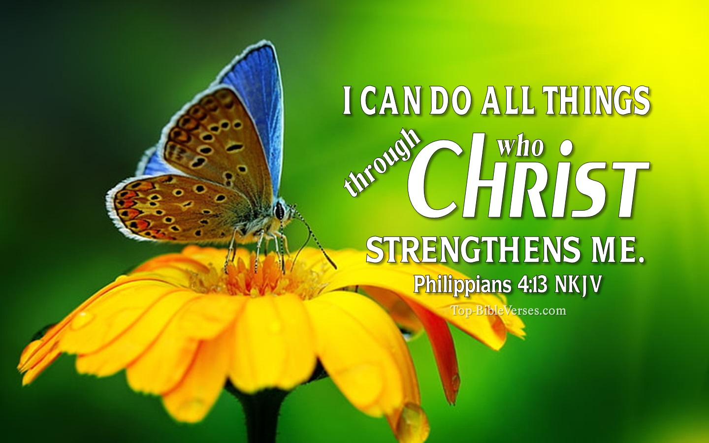 Philippians 4:13 NKJV Christian Bible Verse Desktop Wallpaper. Top-BibleVerses.com