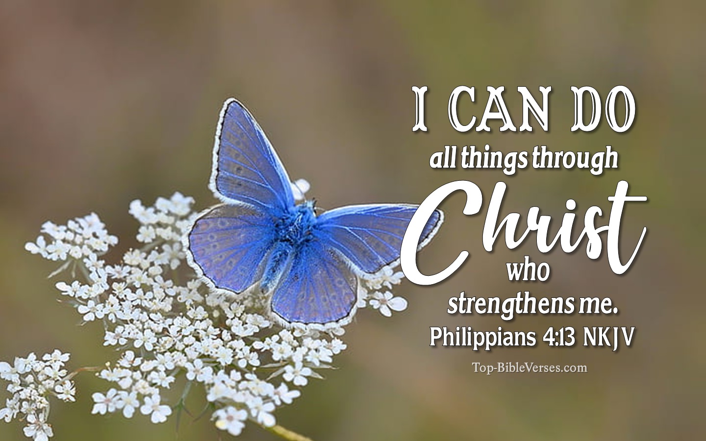 Philippians 4:13 NKJV Christian Bible Verse Desktop Wallpaper. Top-BibleVerses.com