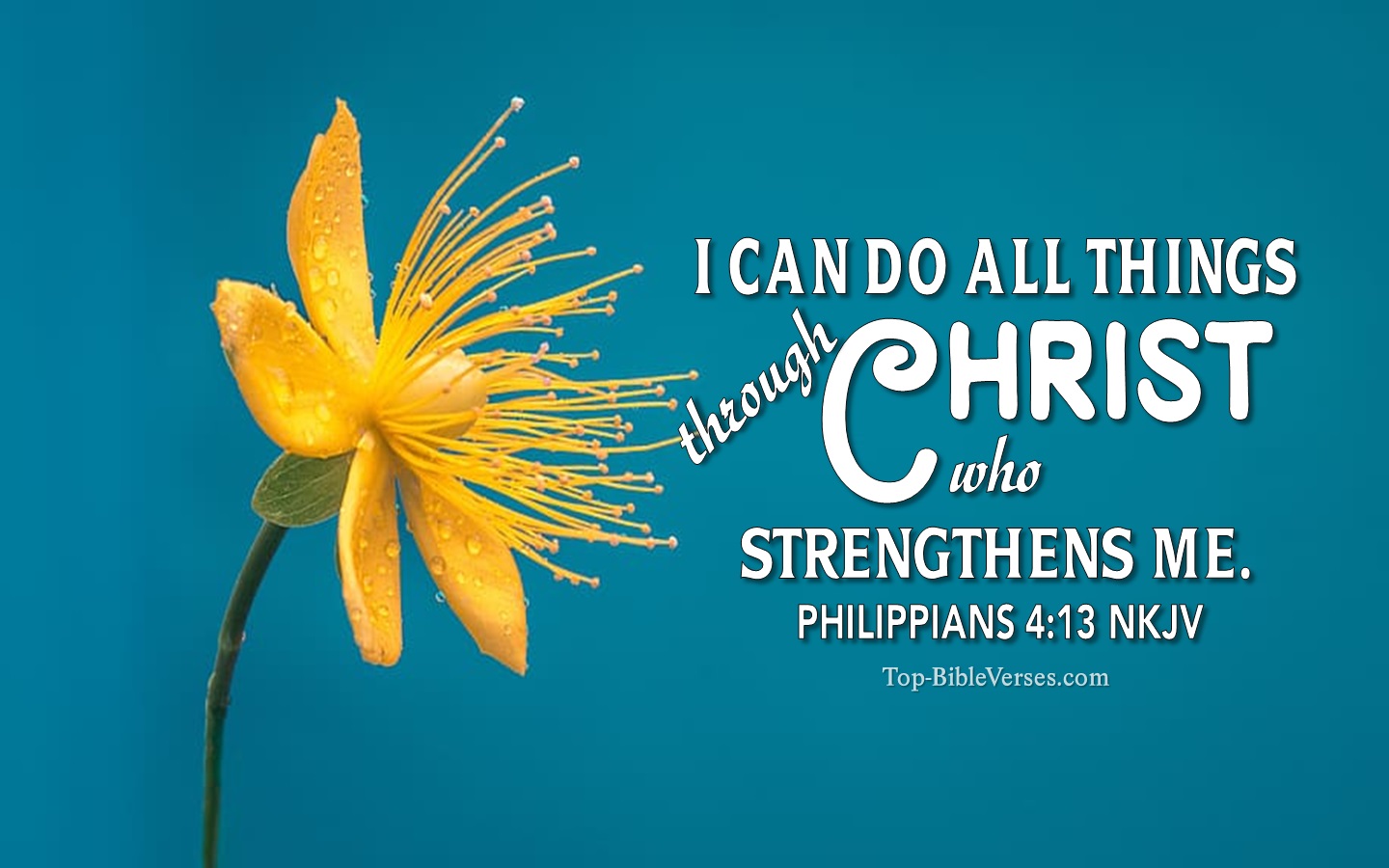 Philippians 4:13 NKJV Christian Bible Verse Desktop Wallpaper. Top-BibleVerses.com