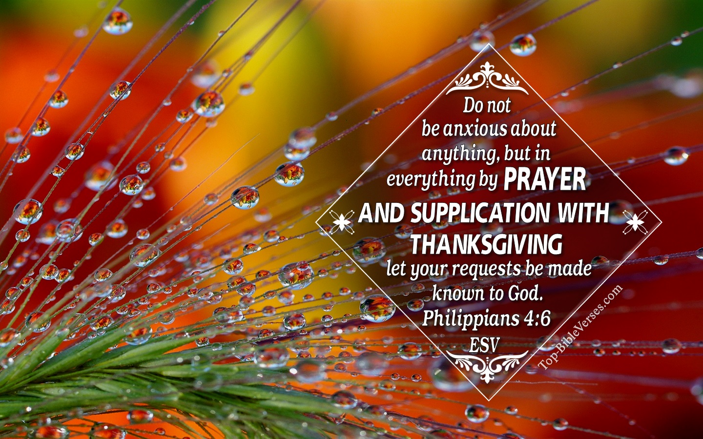 Philippians 4:6 ESV Christian Bible Verse Desktop Wallpaper. Top-BibleVerses.com