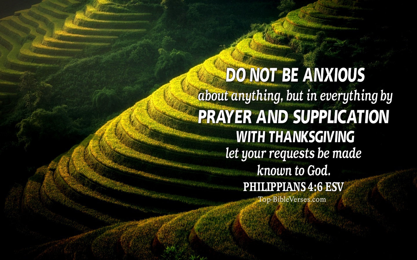 Philippians 4:6 ESV Christian Bible Verse Desktop Wallpaper. Top-BibleVerses.com