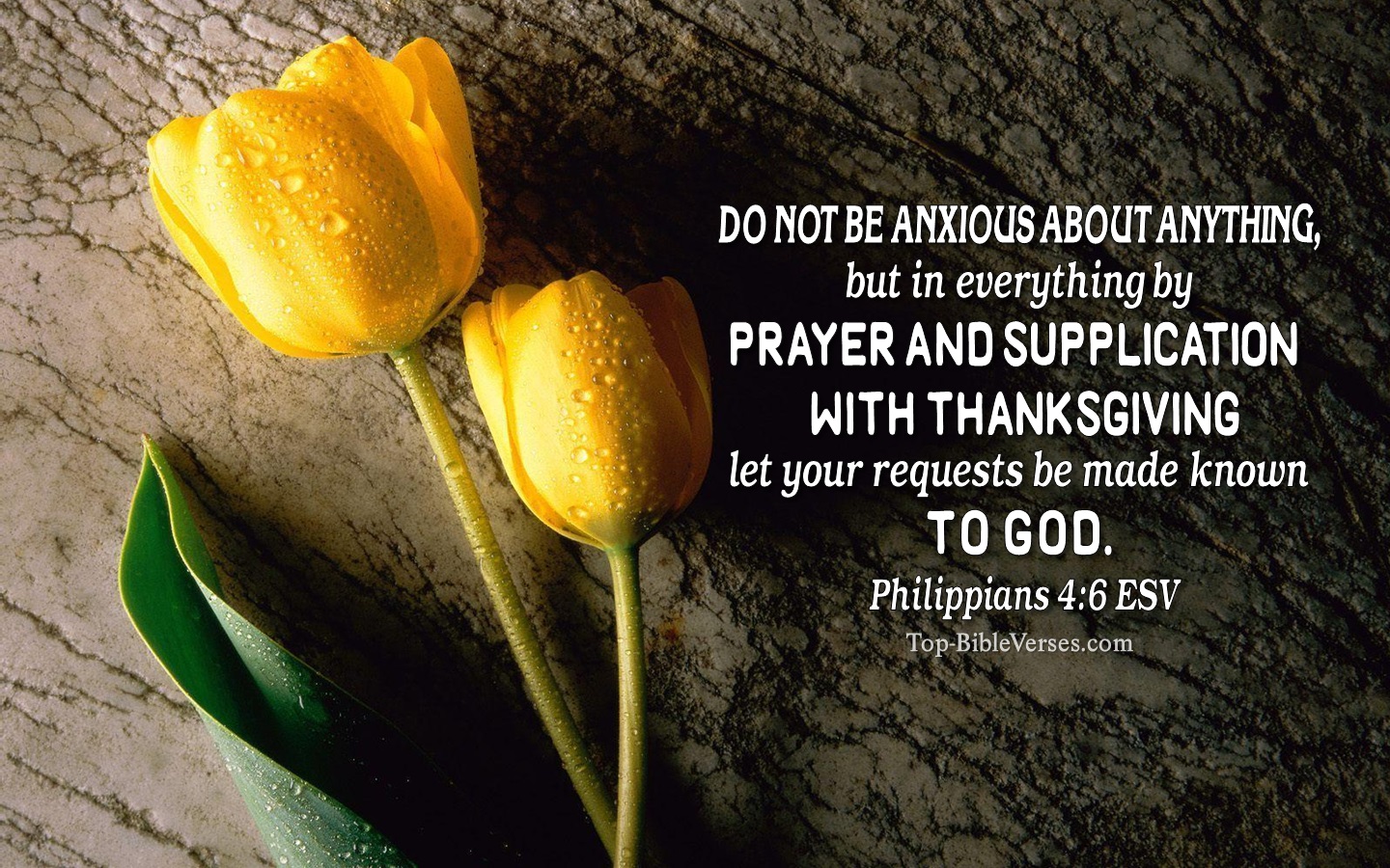 Philippians 4:6 ESV Christian Bible Verse Desktop Wallpaper. Top-BibleVerses.com