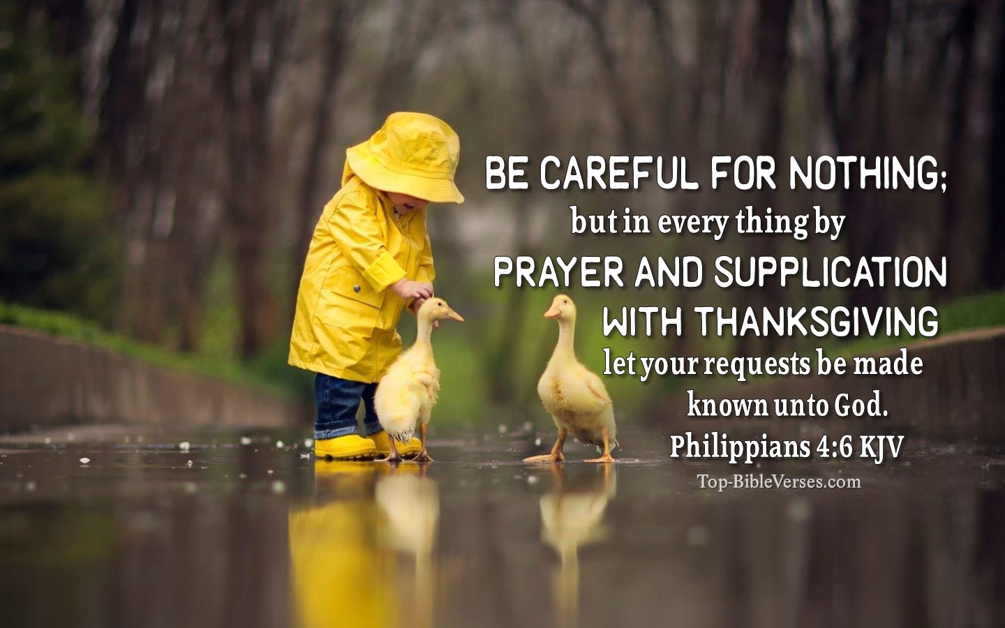 Philippians 4:6 KJV Desktop Wallpapers | Bible Verse Wallpapers