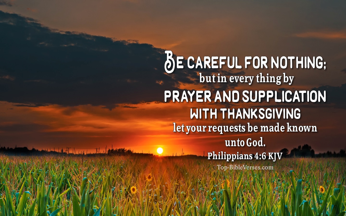 Philippians 4:6 KJV Christian Bible Verse Desktop Wallpaper. Top-BibleVerses.com