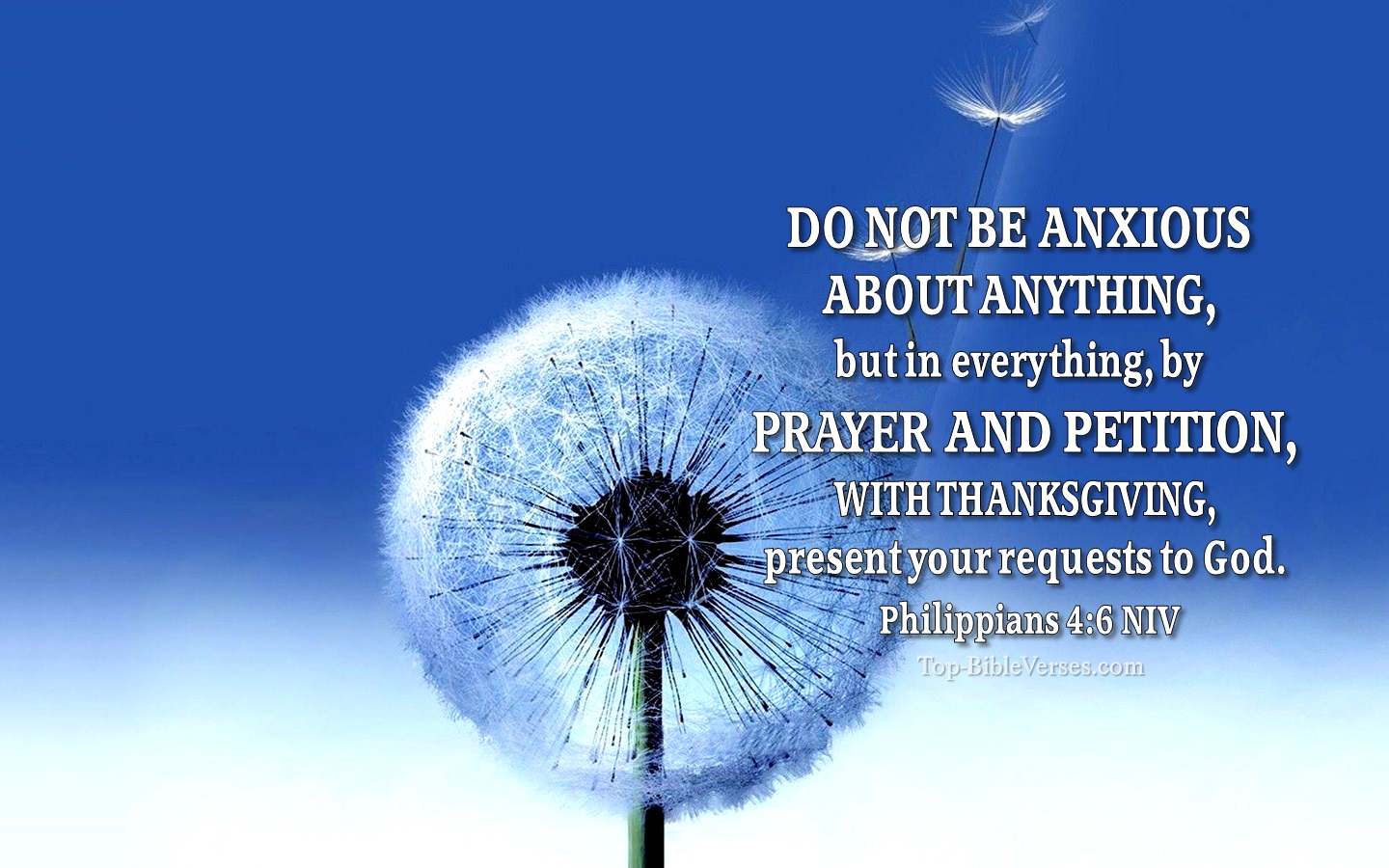 Philippians 4:6 NIV Christian Bible Verse Desktop Wallpaper. Top-BibleVerses.com