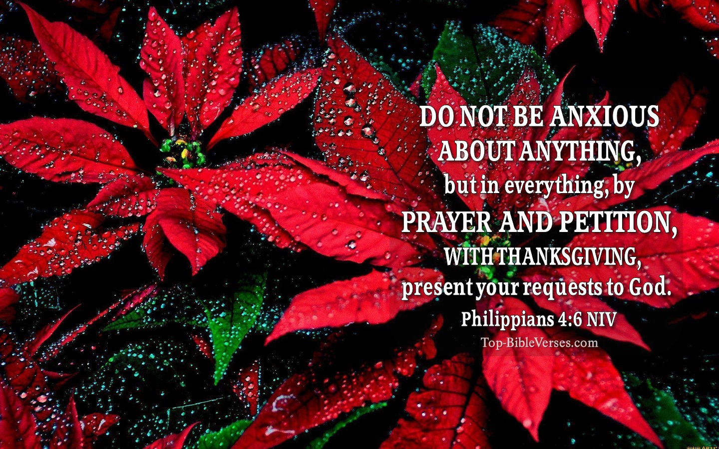 Philippians 4:6 NIV Christian Bible Verse Desktop Wallpaper. Top-BibleVerses.com
