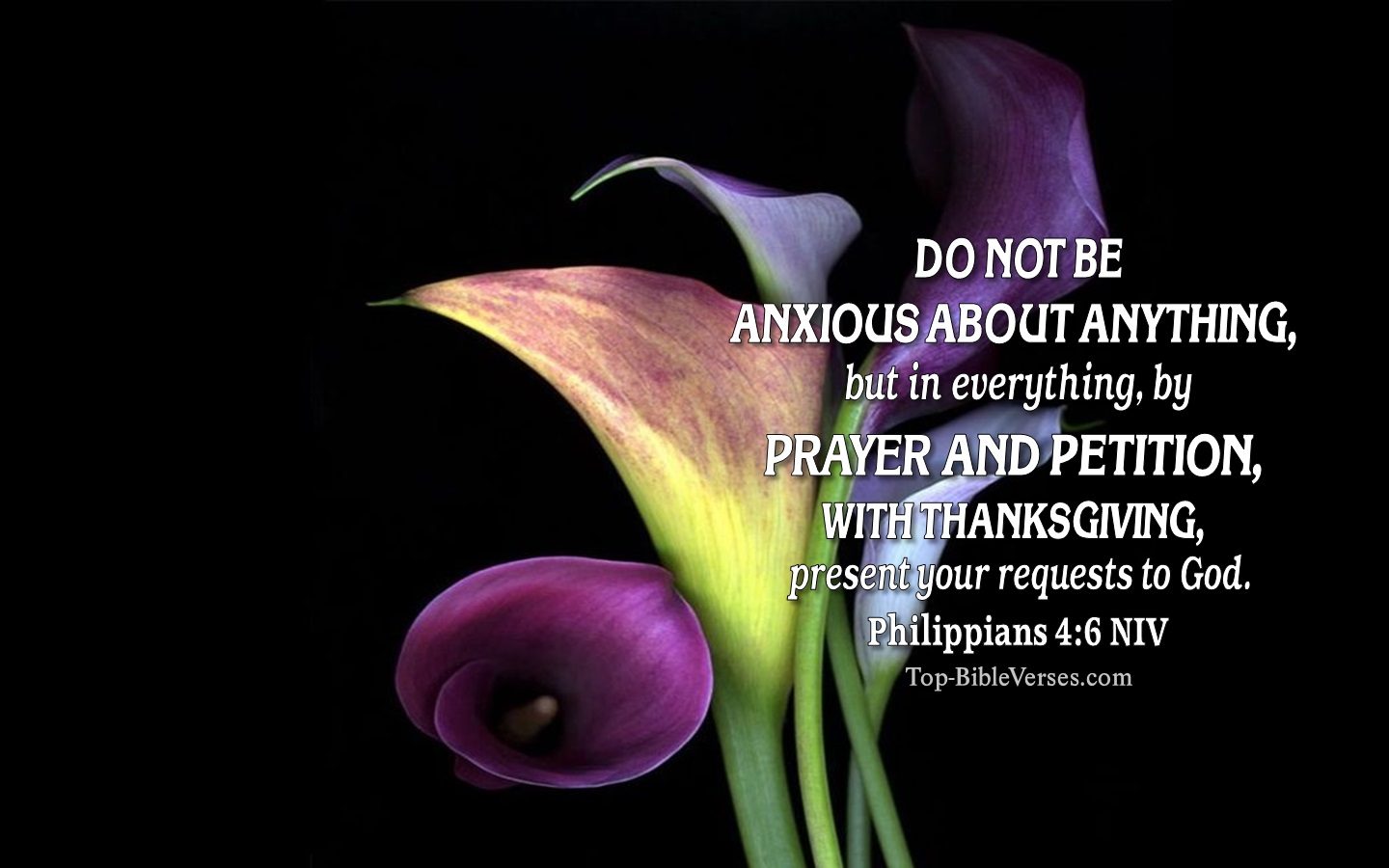 Philippians 4:6 NIV Christian Bible Verse Desktop Wallpaper. Top-BibleVerses.com