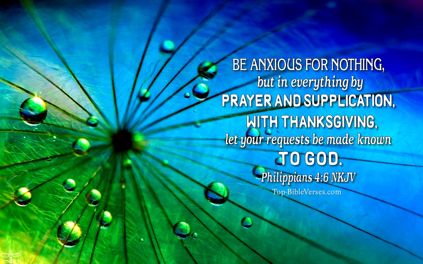 Philippians 4:6 NKJV Christian Bible Verse Desktop Wallpaper. Top-BibleVerses.com