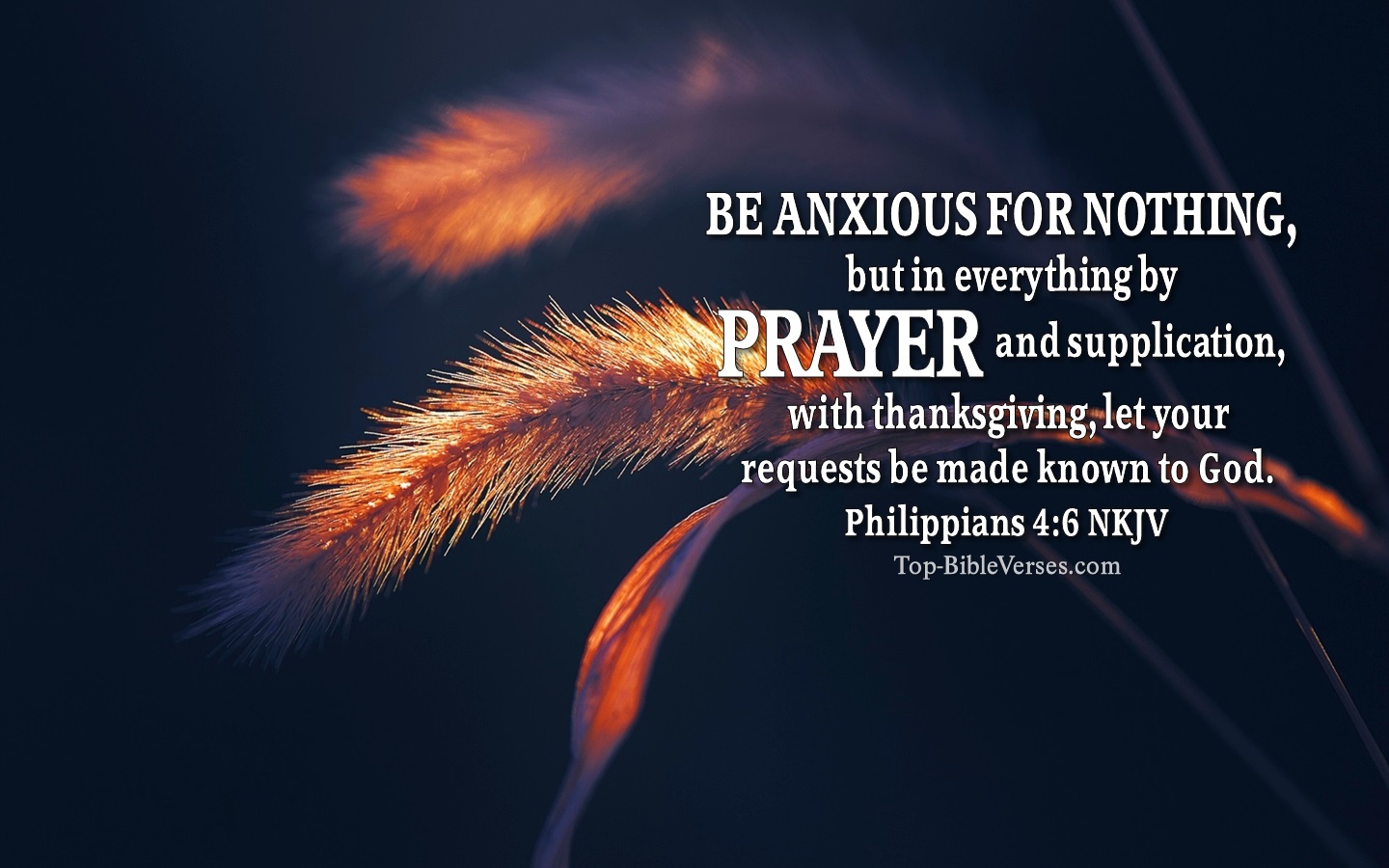 Philippians 4:6 NKJV Christian Bible Verse Desktop Wallpaper. Top-BibleVerses.com