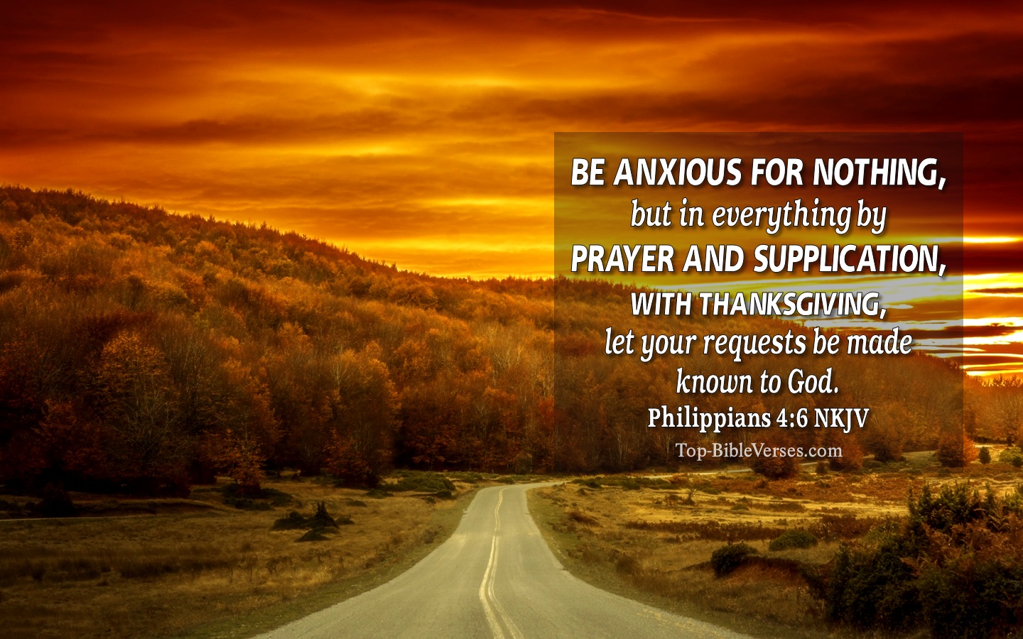 Philippians 4:6 NKJV Christian Bible Verse Desktop Wallpaper. Top-BibleVerses.com