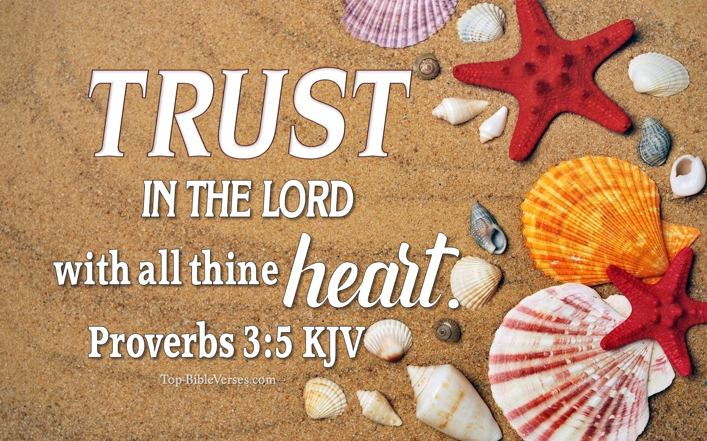 Proverbs 3:5 KJV Inspirational Bible Verse Images. Top-BibleVerses.com