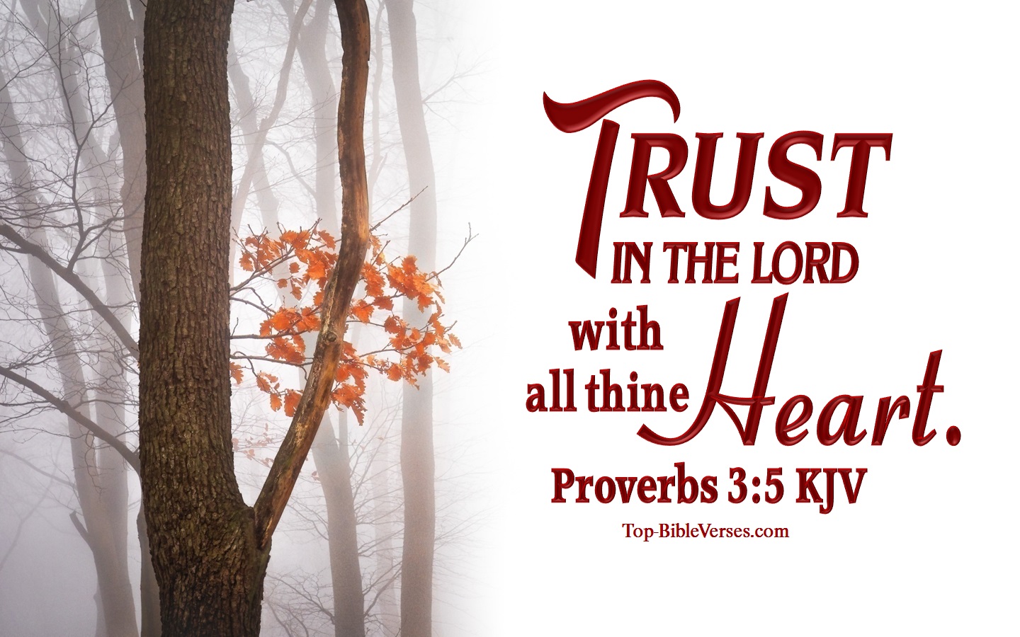 Proverbs 3:5 KJV Inspirational Bible Verse Images. Top-BibleVerses.com