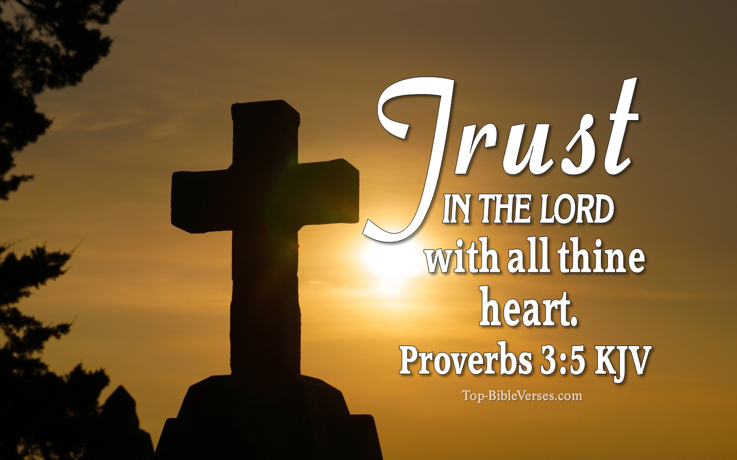 Proverbs 3:5 KJV Inspirational Bible Verse Images. Top-BibleVerses.com