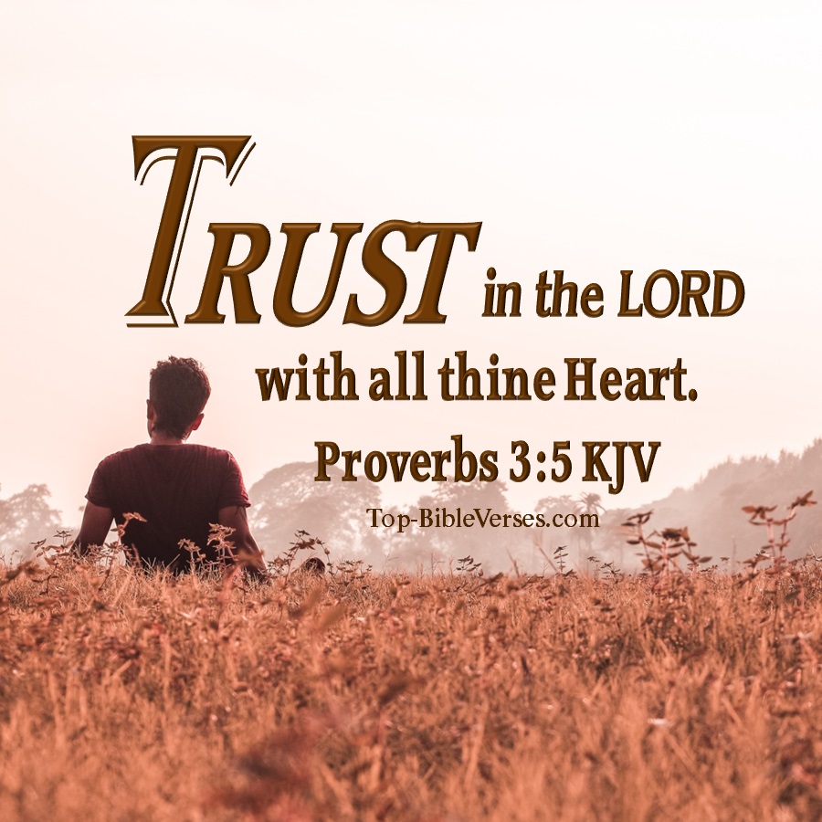 Proverbs 3:5 KJV WhatsApp DP Inspirational Bible Verse Images.