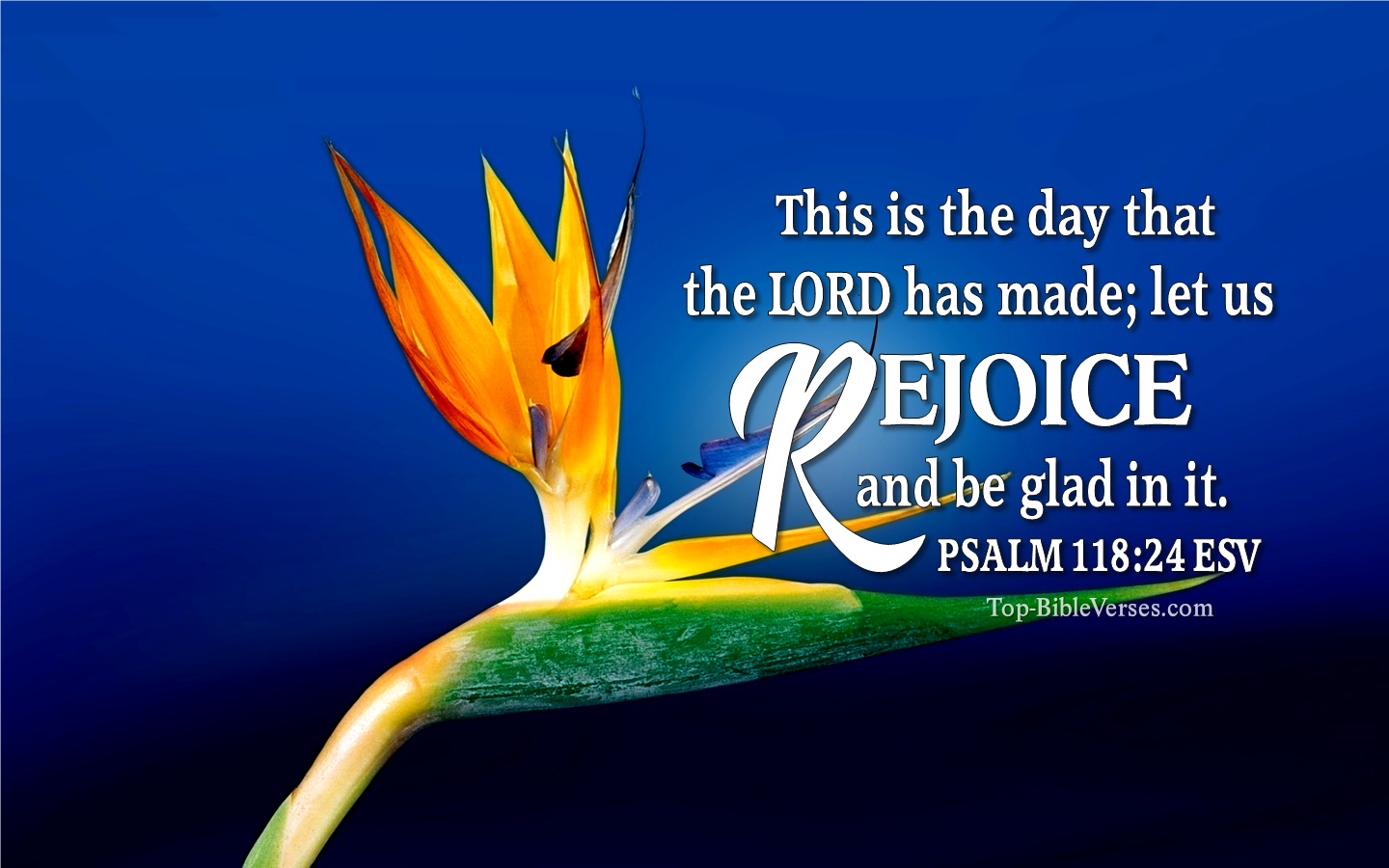 Psalm 118:24 ESV Christian Bible Verse Desktop Wallpaper. Top-BibleVerses.com