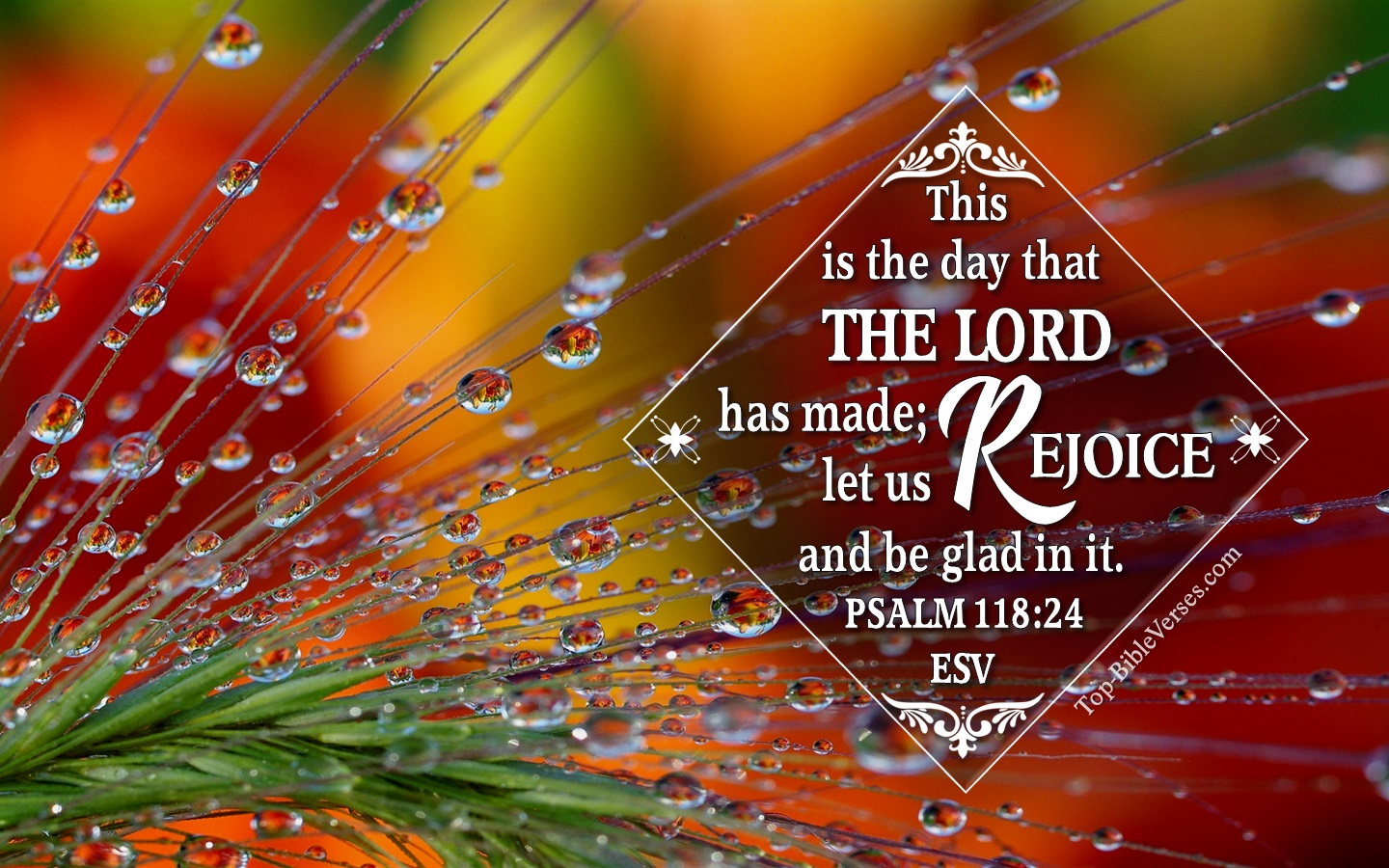 Psalm 118:24 ESV Christian Bible Verse Desktop Wallpaper. Top-BibleVerses.com
