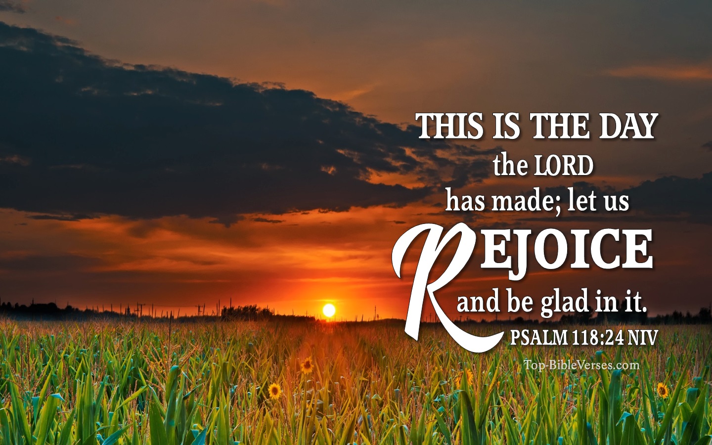 Psalm 118:24 NIV Christian Bible Verse Desktop Wallpaper. Top-BibleVerses.com
