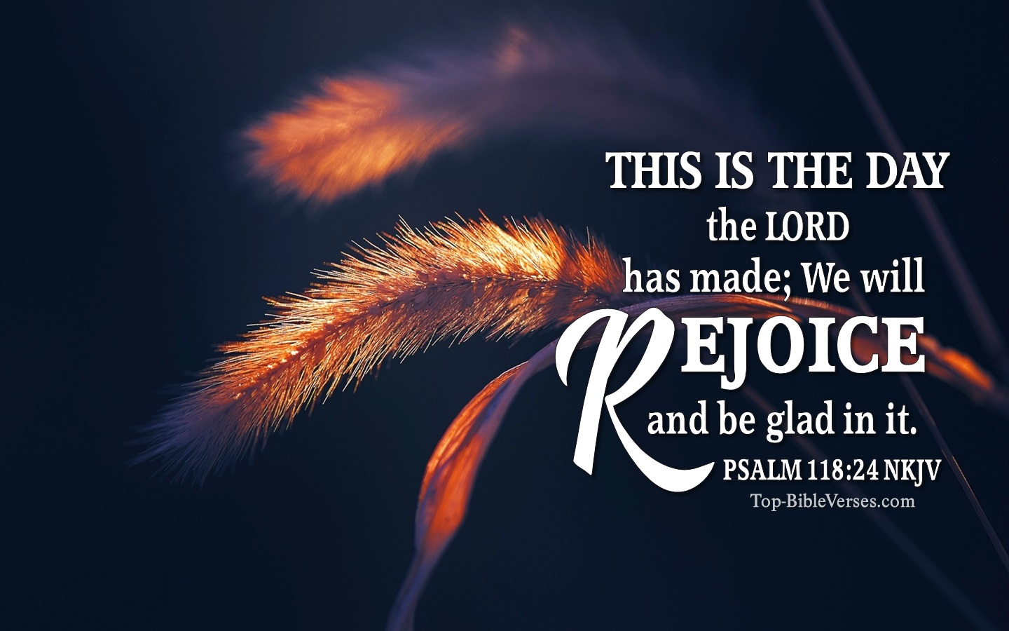 Psalm 118:24 NKJV Christian Bible Verse Desktop Wallpaper. Top-BibleVerses.com