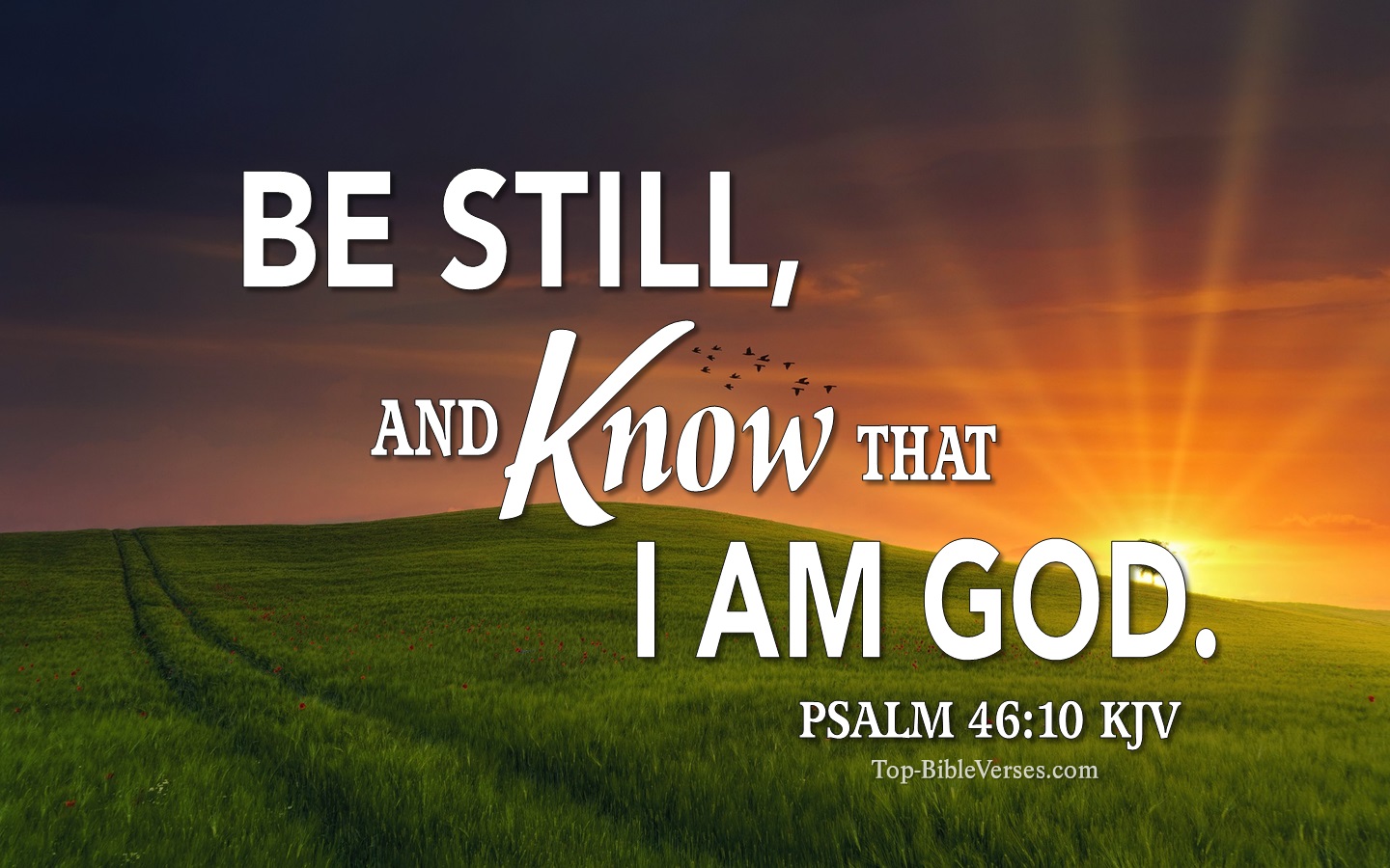 Psalm 46:10 KJV Inspirational Bible Verse Images. Top-BibleVerses.com