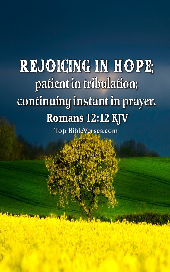 Romans 12:12 Rejoicing in hope; patient in tribulation Bible Verse Wallpaper.