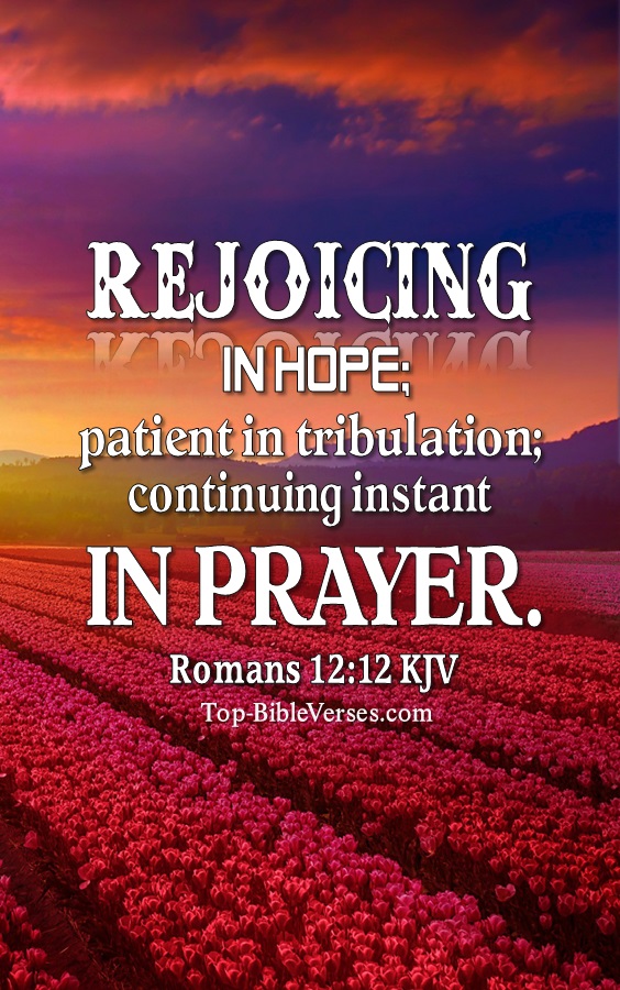 Romans 12:12 Rejoicing in hope; patient in tribulation Bible Verse Wallpaper.