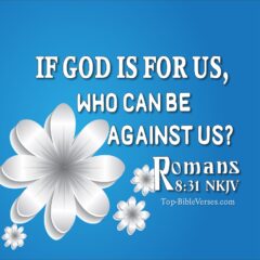 Romans 8:31 NKJV WhatsApp DP Inspirational Bible Verse Images.
