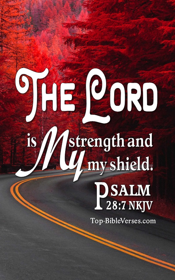 Psalm 28:7 The Lord is my strength and my shield Bible Verse Wallpaper.