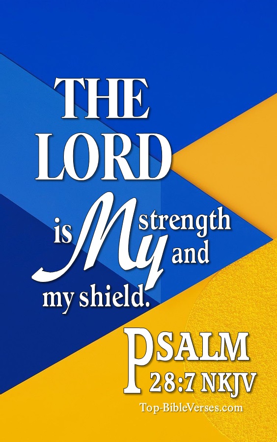 Psalm 28:7 The Lord is my strength and my shield Bible Verse Wallpaper.