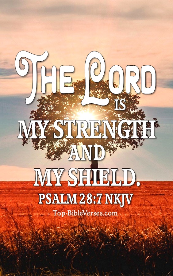 Psalm 28:7 The Lord is my strength and my shield Bible Verse Wallpaper.