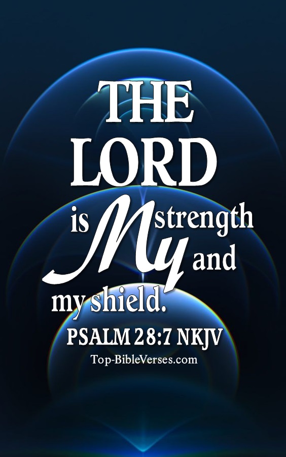 Psalm 28:7 The Lord is my strength and my shield Bible Verse Wallpaper.