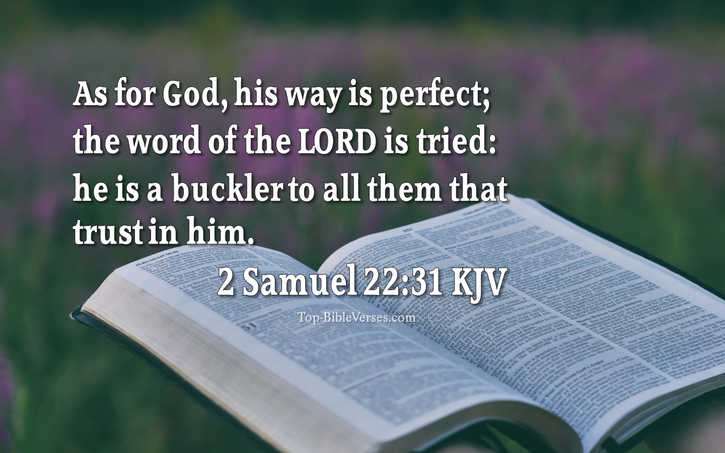 2 Samuel 22:31 KJV - As for God, his way is perfect; the word of the LORD is tried: he is a buckler to all them that trust in him.