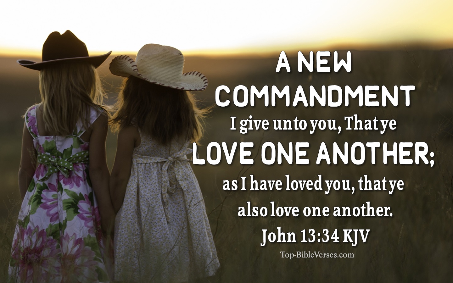 John 13:34 - A new commandment I give unto you, That ye love one another; as I have loved you